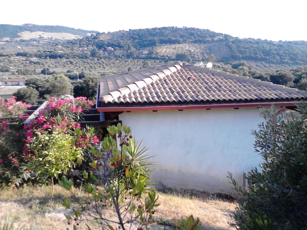Affittacamere Valverde Di Naitana Rita Αλγκέρο Δωμάτιο φωτογραφία